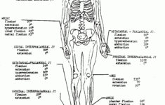 anatomy and physiology printable worksheets 159 Anatomy And Physiology Coloring Workbook Answer Key Unique Coloring