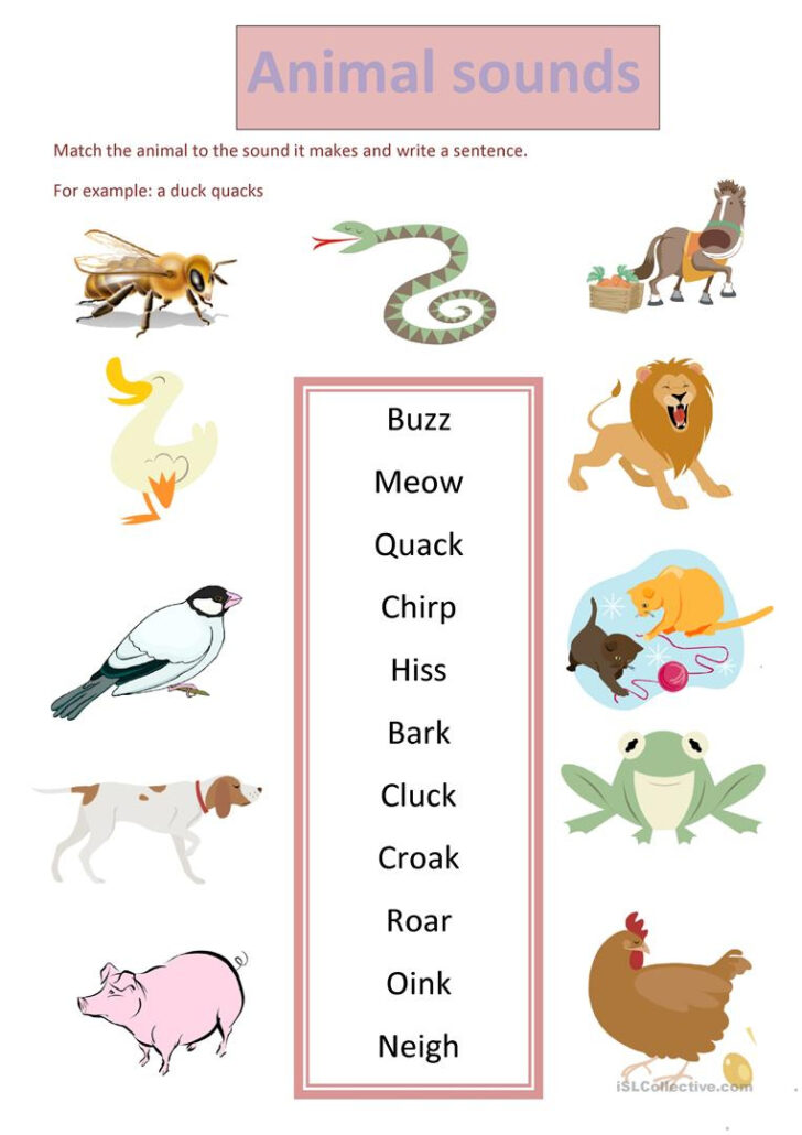 Animal Sounds Printable Worksheets