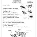 Ant Worksheets Printables 159