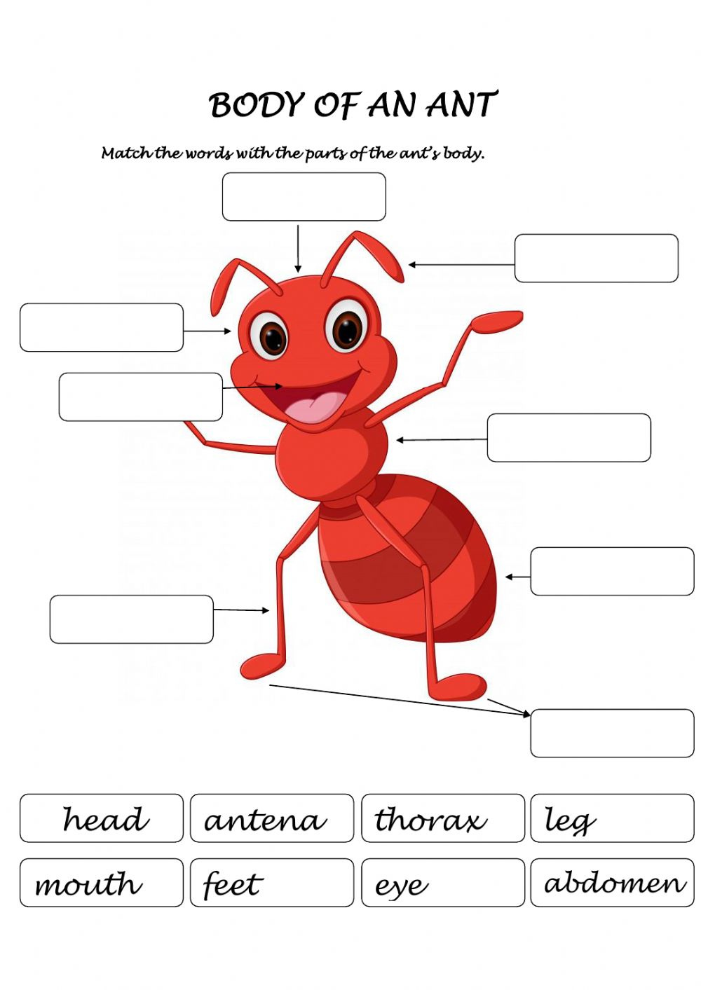 Body Of An Ant Worksheet