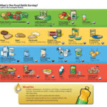 Canada Food Guide Printable Worksheets 159