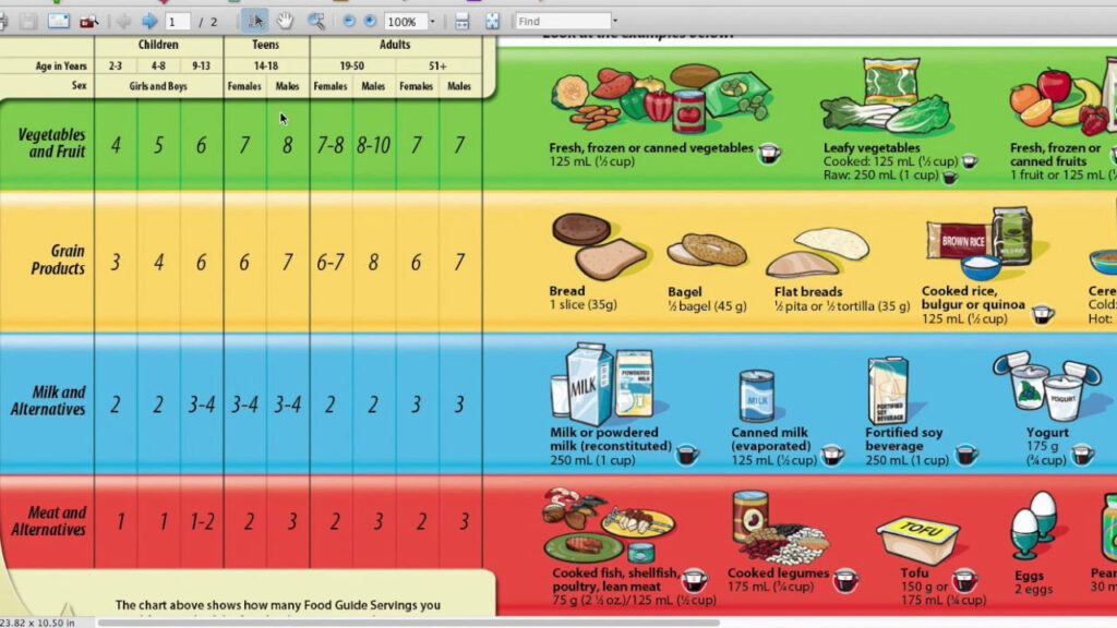 Canada Food Guide Printable Worksheets-159 