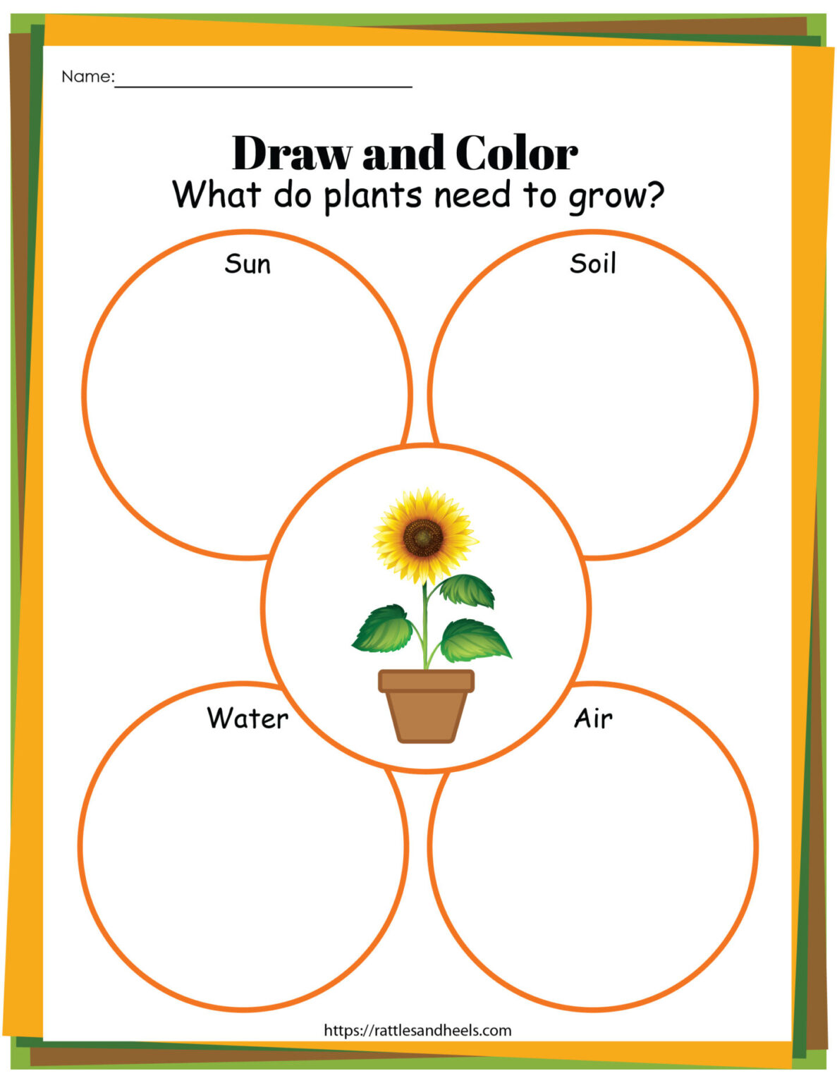 Free Plant Life Cycle Worksheet Printables159 Lyana Worksheets