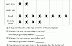 Bar Graphs 3rd Grade