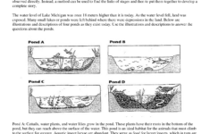 Free Printable Biology Worksheets For High School Free Printable