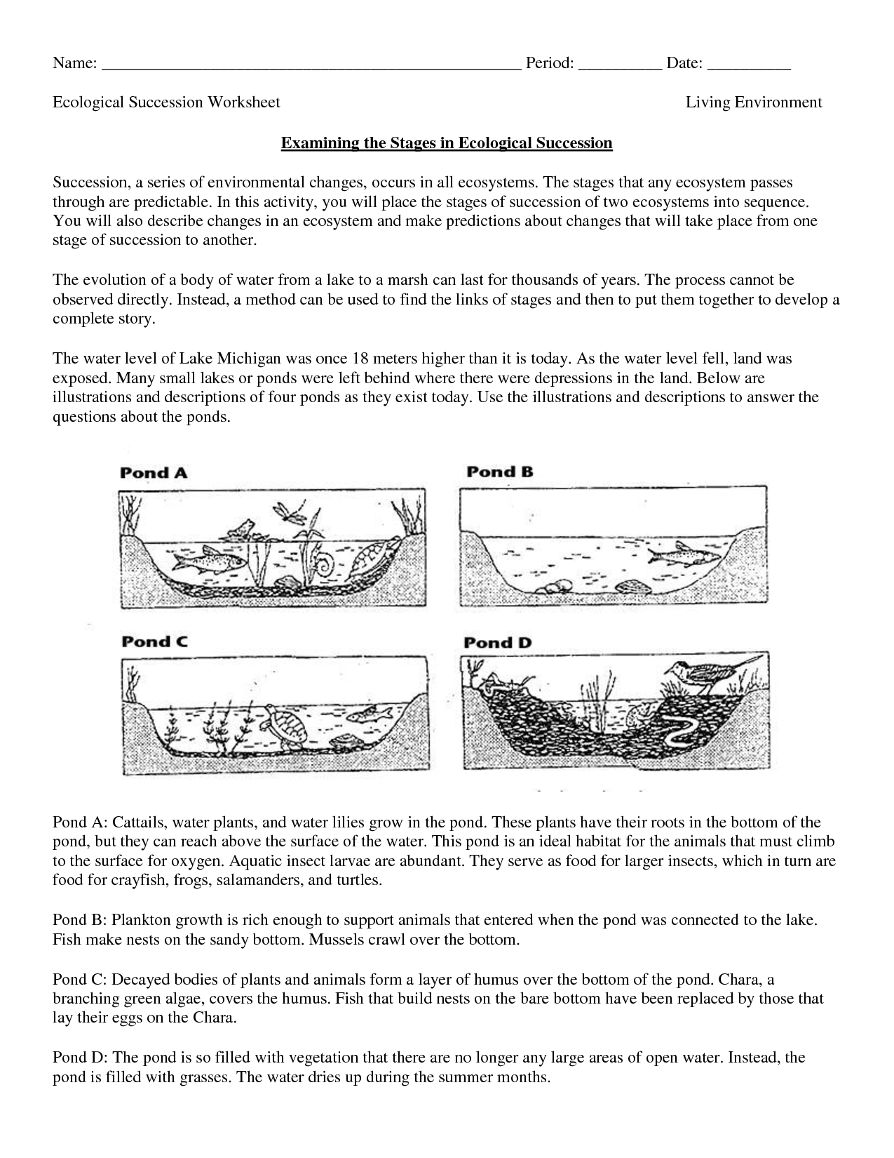 Free Printable Biology Worksheets For High School Lyana Worksheets