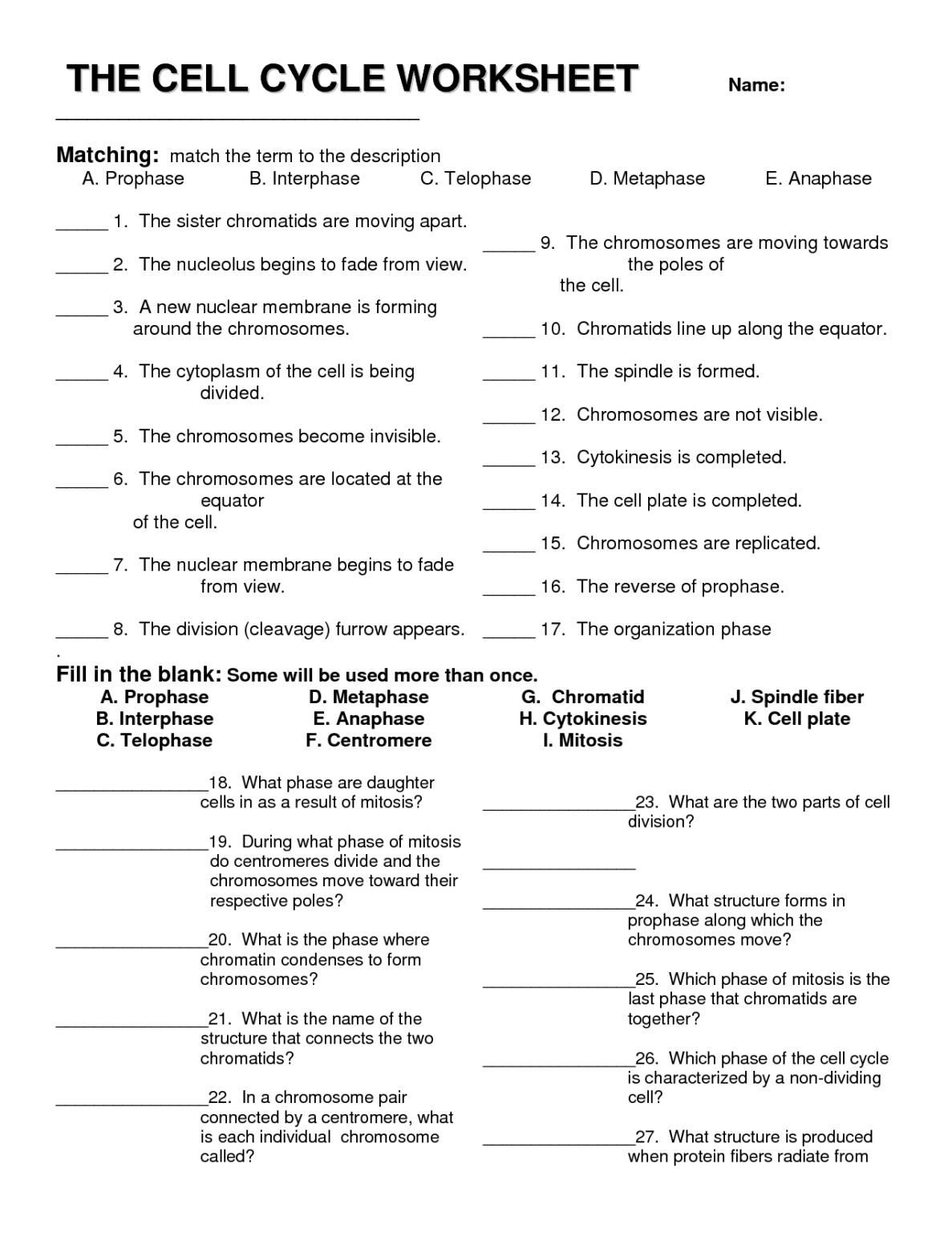 Free Printable Biology Worksheets For High School 159 Lyana Worksheets