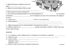 Free Printable Biology Worksheets For High School Printable Worksheets