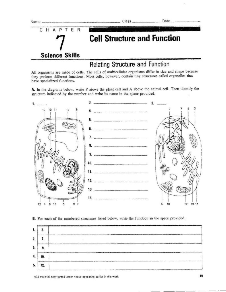 Free printable biology worksheets for high school 159 lyana worksheets