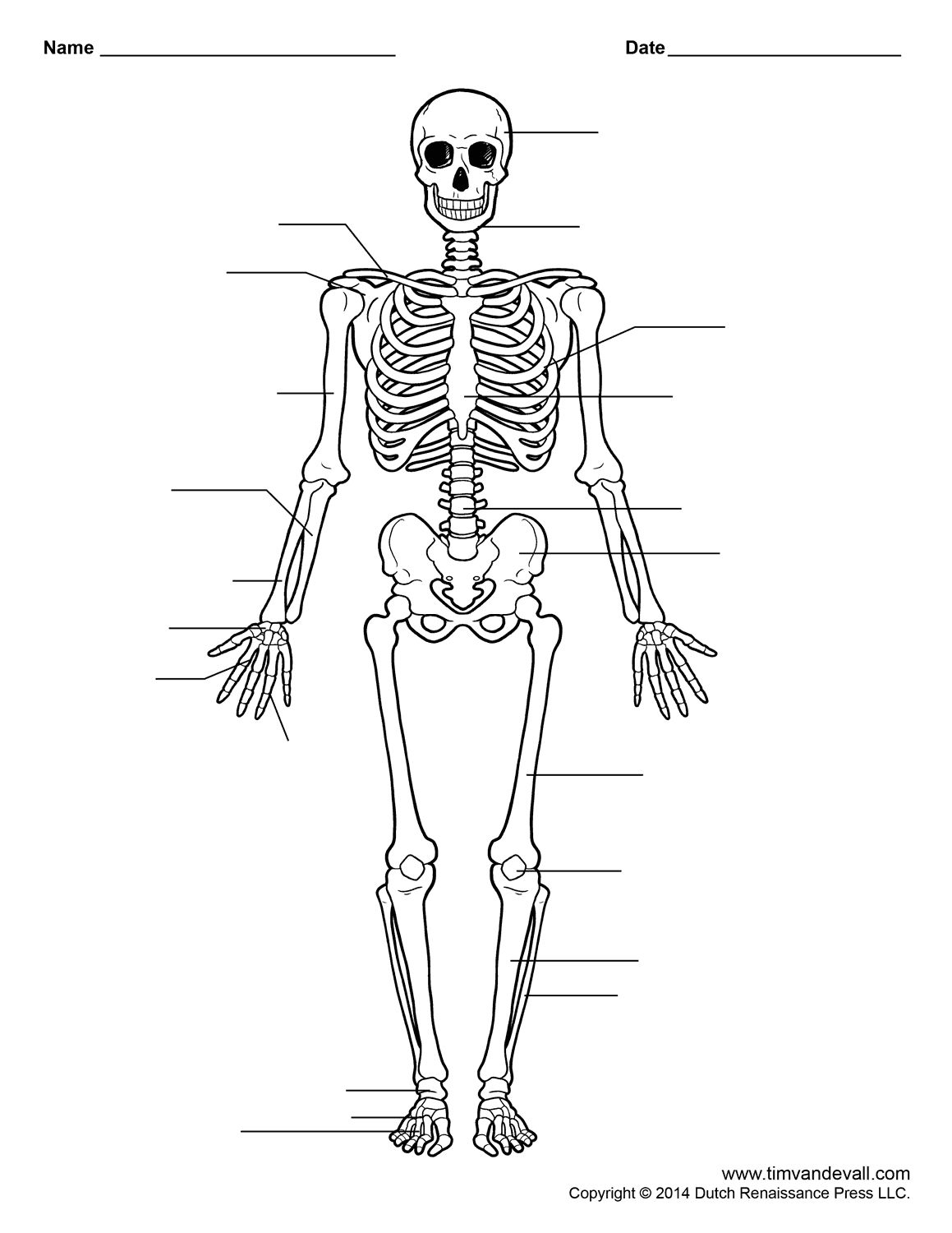 free-printable-human-anatomy-worksheets-lyana-worksheets