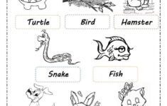 free printable pet worksheets 159 3 Pets English ESL Worksheets For Distance Learning And Physical