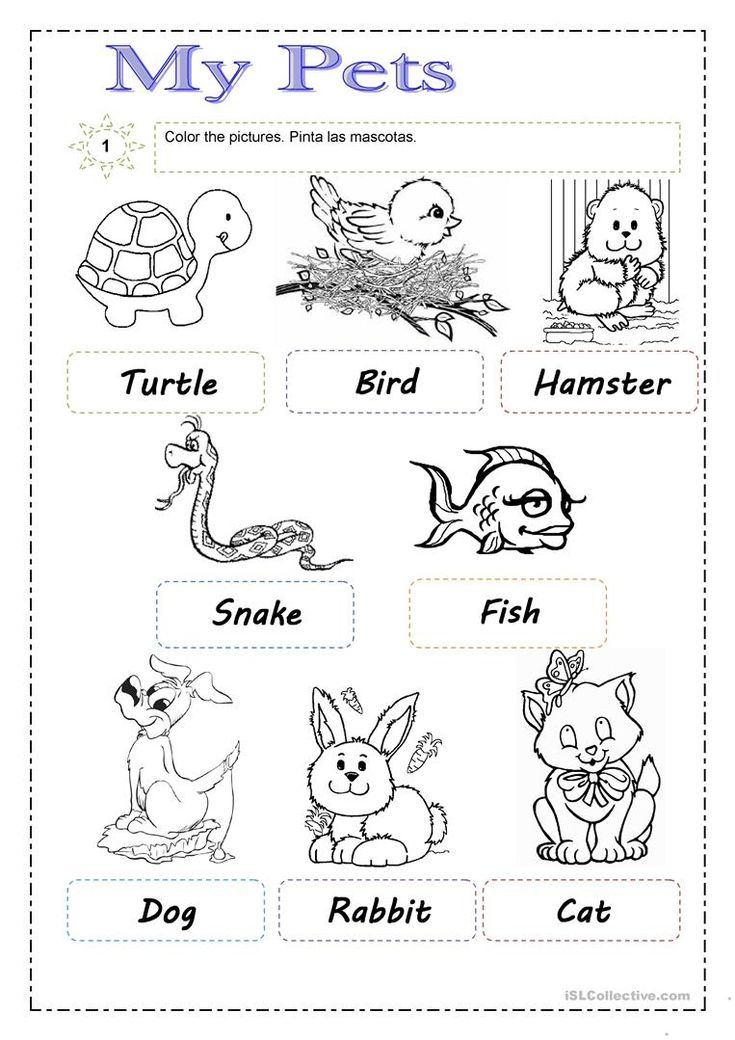 Pets English ESL Worksheets For Distance Learning And Physical 