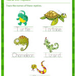 Free Printable Reptile Worksheets 159