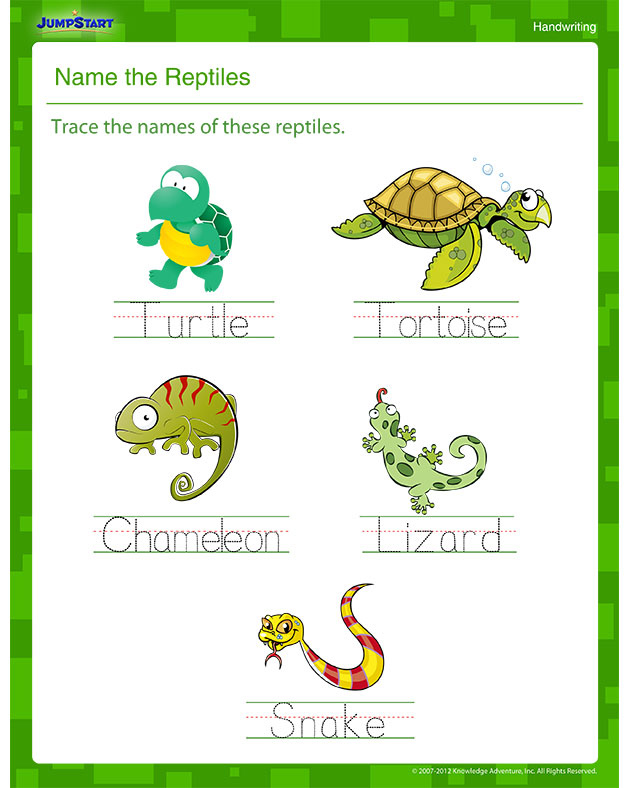 Name The Reptiles Printable Handwriting Worksheet JumpStart