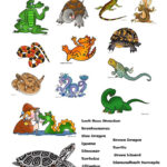 Free Printable Reptile Worksheets 159