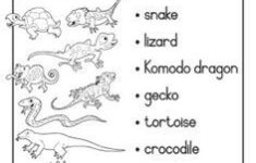 Pin Printable Worksheets Reptiles Word Search Party Planning On