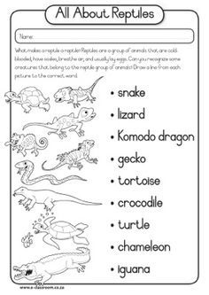 Pin Printable Worksheets Reptiles Word Search Party Planning On 
