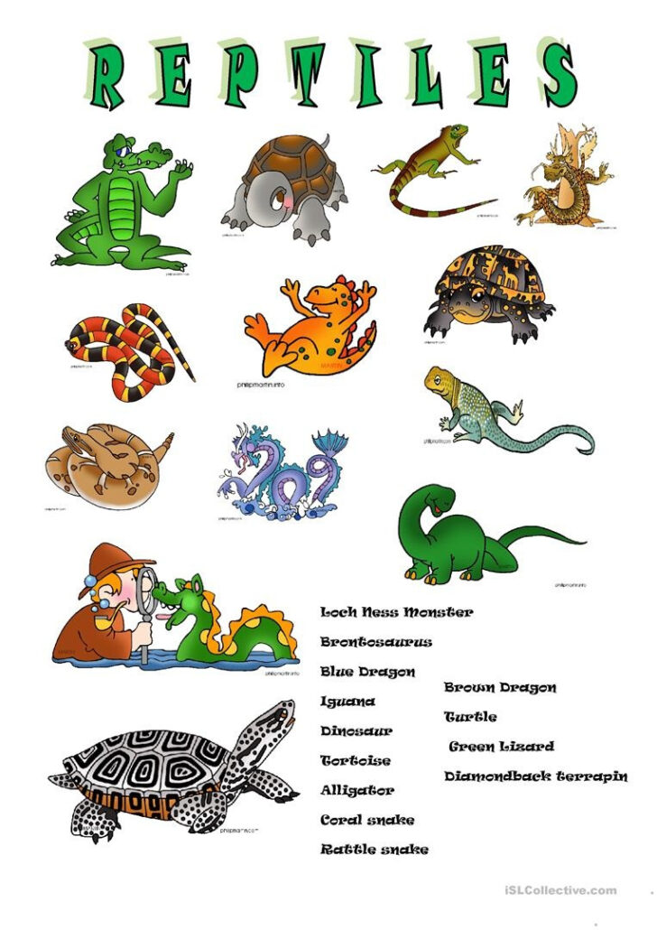 Free Printable Reptile Worksheets