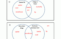 Venn Diagrams Sheet 3 1 Answers In 2020 Venn Diagram Worksheet 3rd