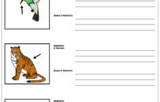 Adaptation Function Worksheet Storyboard By Kristen