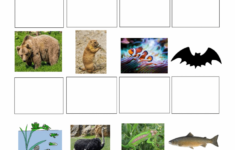 free printable worksheets animal adaptations 159 Free Printable Worksheets Animal Adaptations Printable Worksheets