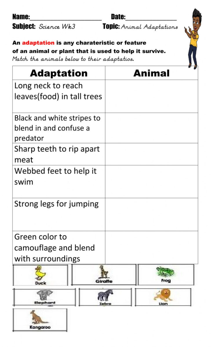 free-printable-worksheets-animal-adaptations-159-lyana-worksheets