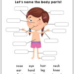 Free Printable Worksheets Kindergarten Body Parts 159
