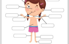 Printable Body Part Worksheet For Kindergarten Thekidsworksheet