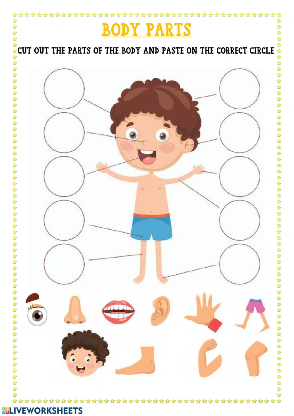 Ficha Online De Body Parts Para Kindergarten