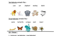 Vertebrate Invertebrate Worksheet Free ESL Printable Worksheets
