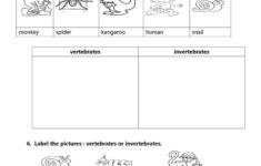 Vertebrates And Invertebrates Worksheet Free ESL Printable Worksheets