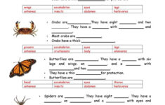 Animals Vertebrates And Invertebrates Worksheet Free ESL Printable