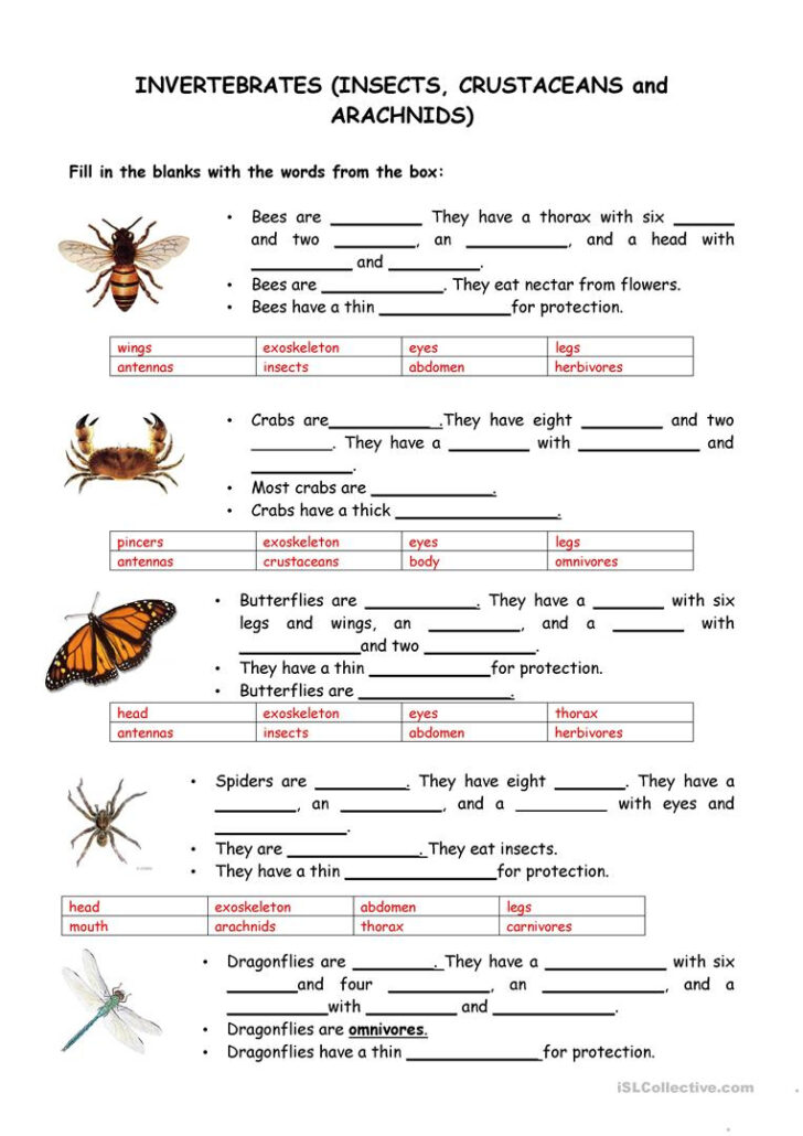 Free Printable Worksheets On Vertebrates And Invertebrates