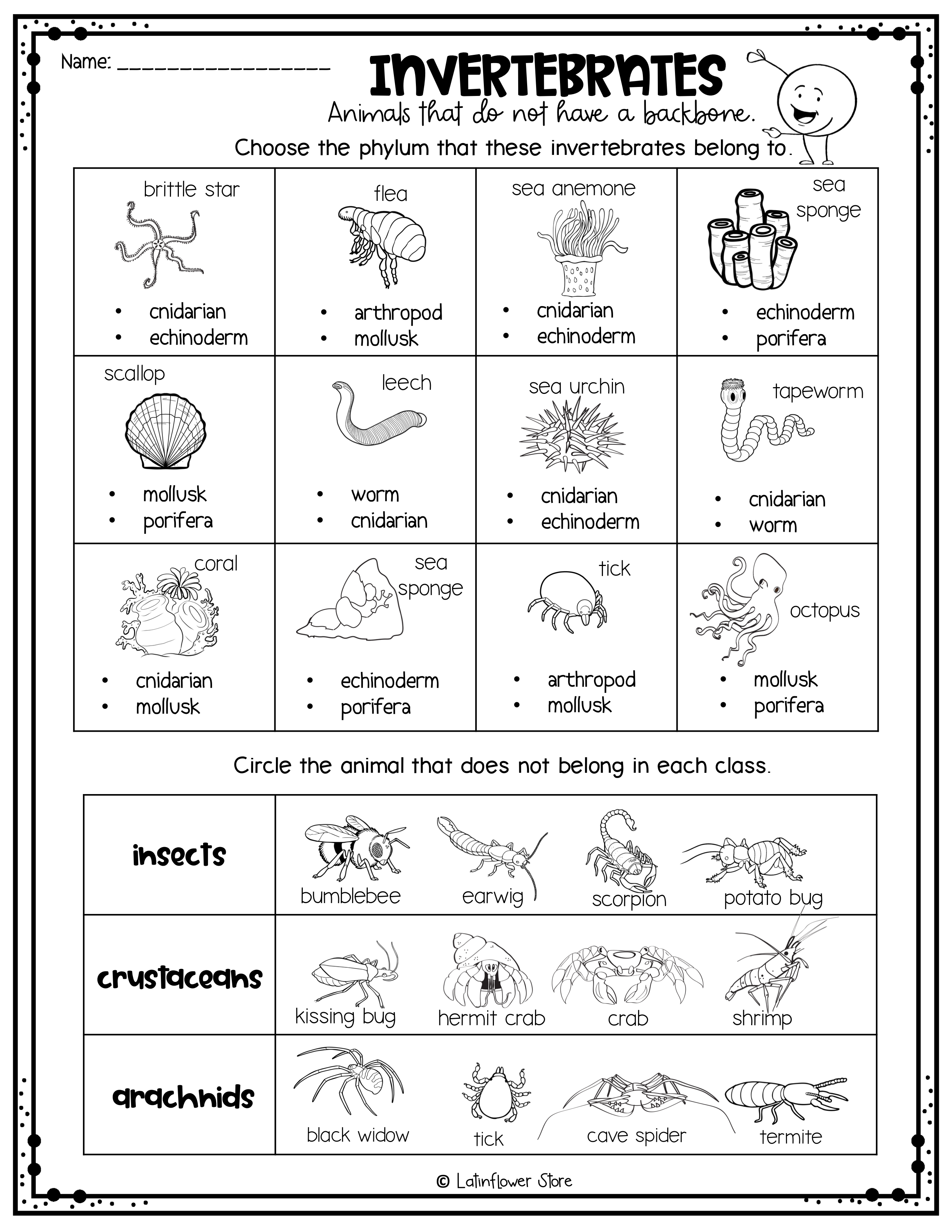 Vertebrates Invertebrates Interactive Notebook Worksheet Science 