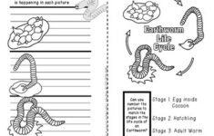 free printable worm worksheets 159 1 WORMS A Booklet Of Activities Celebrating Earthworms Worm Farming