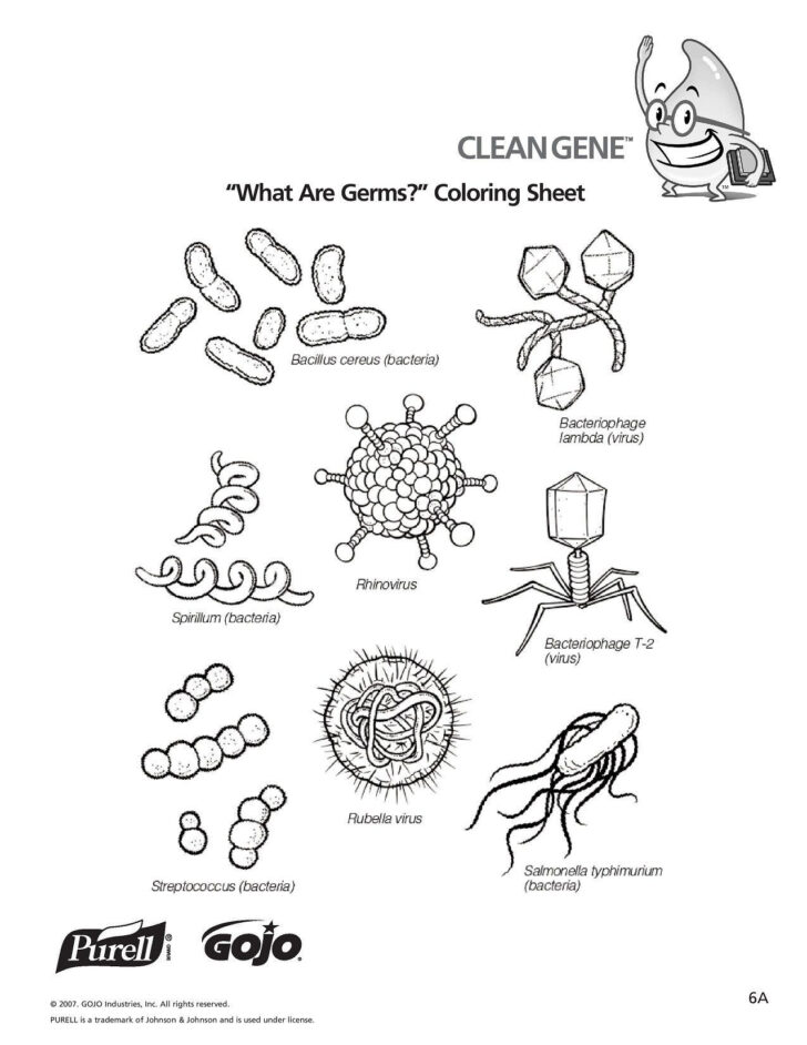 Germs Worksheets Printables