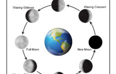 Moon Phases Worksheet For Middle School Pdf Worksheets Free Download