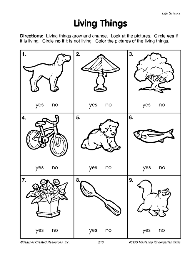 MY ENGLISH CLASS RESOURCES FREE WORKSHEETS PRINTABLES