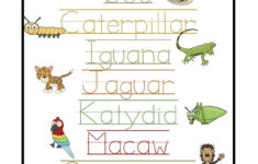 Pin By Enam Duong On Preschool Geography Rainforest Preschool