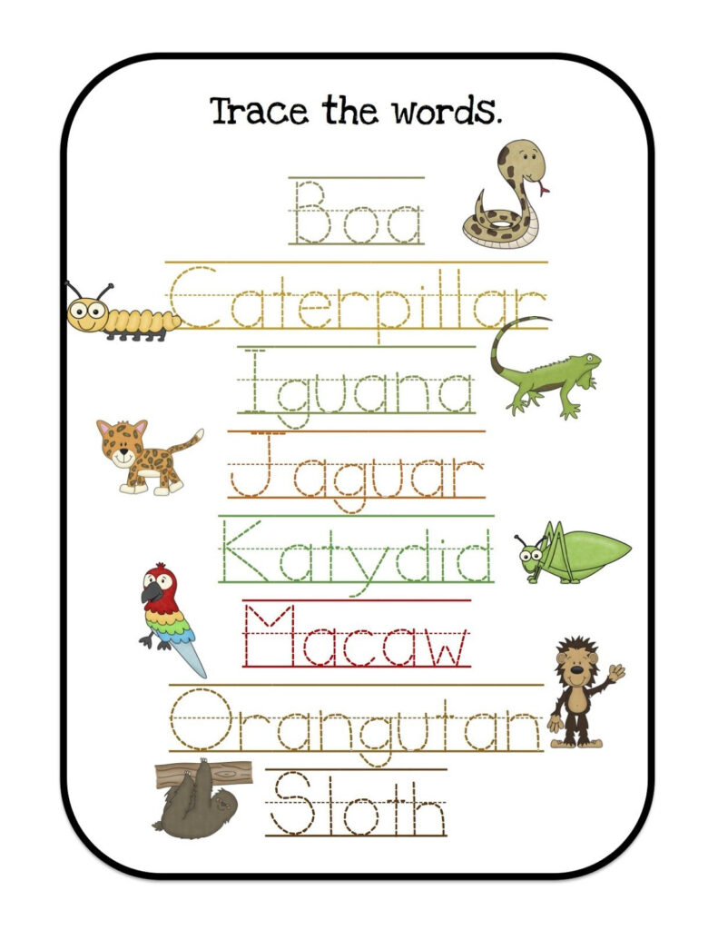 Rainforest Printable Worksheets159 Lyana Worksheets