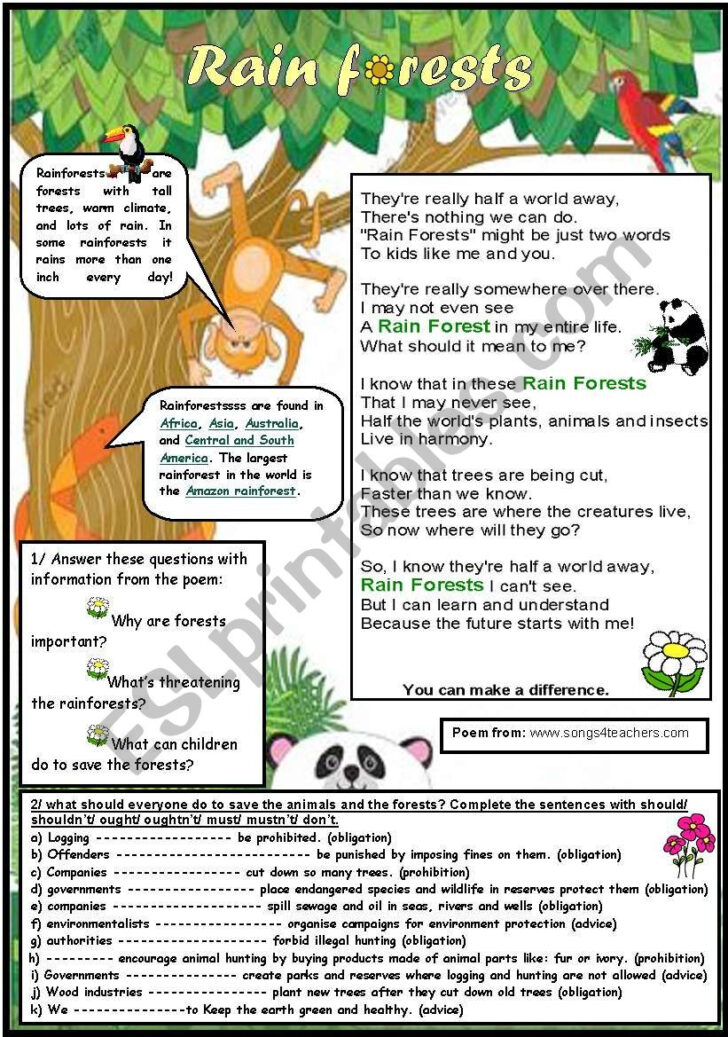 Rainforest Printable Worksheets159 Lyana Worksheets