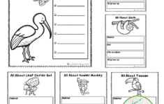 All About The Amazing Rainforest Habitat For Primary Grades In 2021