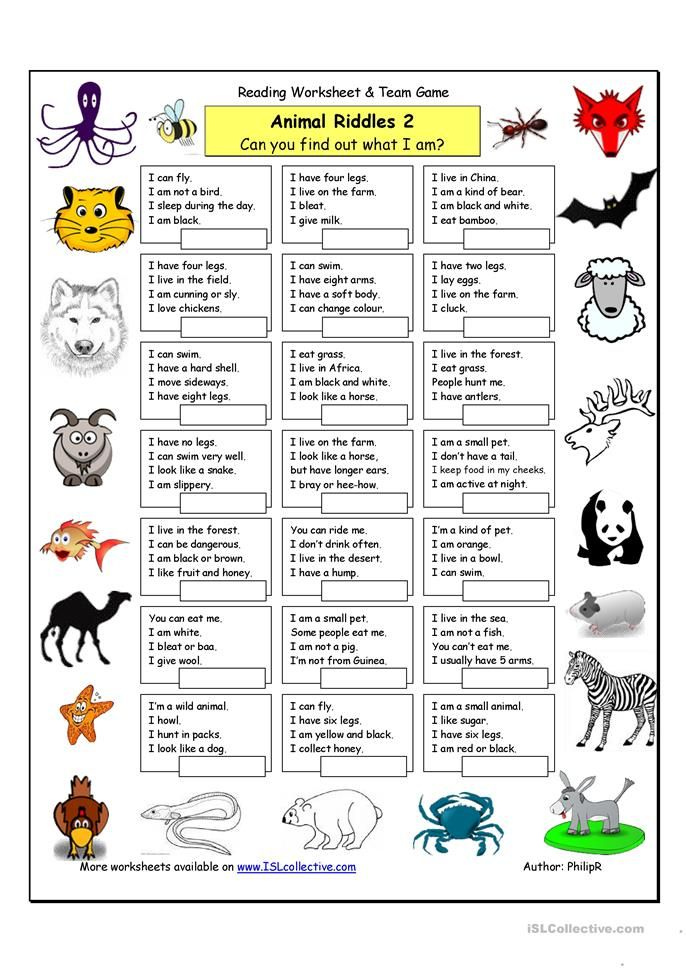 Animal Riddles 2 Medium Animal Riddles Riddles Animal Worksheets