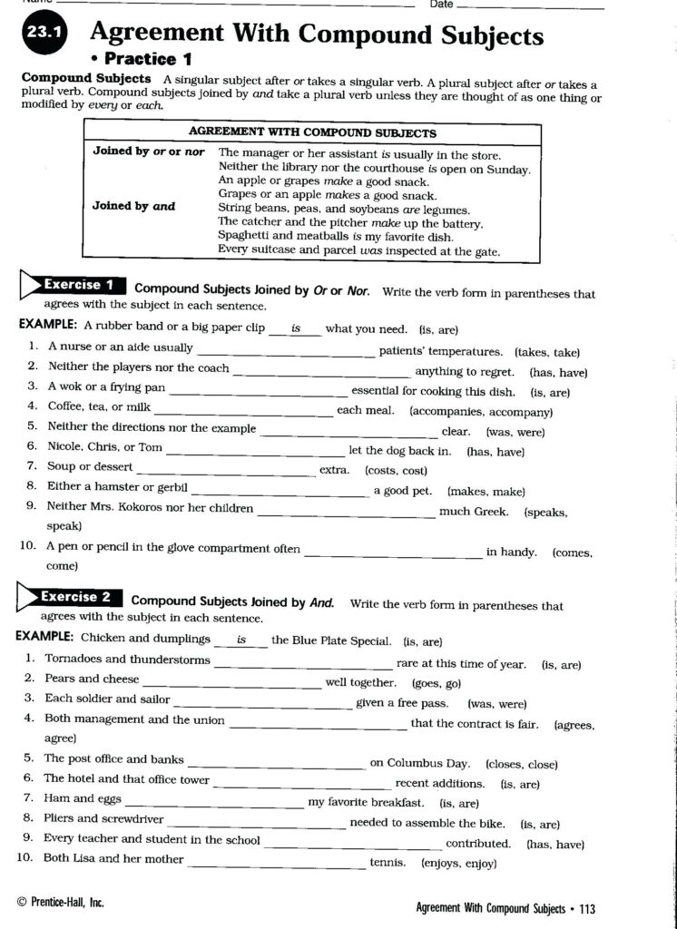 Subject Verb Agreement Printable Worksheets High School | Lyana Worksheets