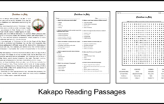 Christmas In Italy Reading Comprehension And Word Search in Christmas In Italy Worksheets