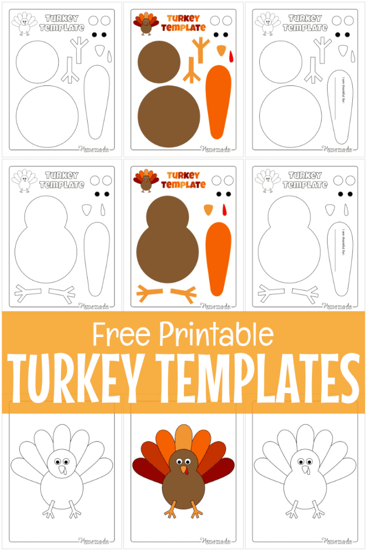 Turkey Thanksgiving Worksheet Turkey Thanksgiving Worksheet