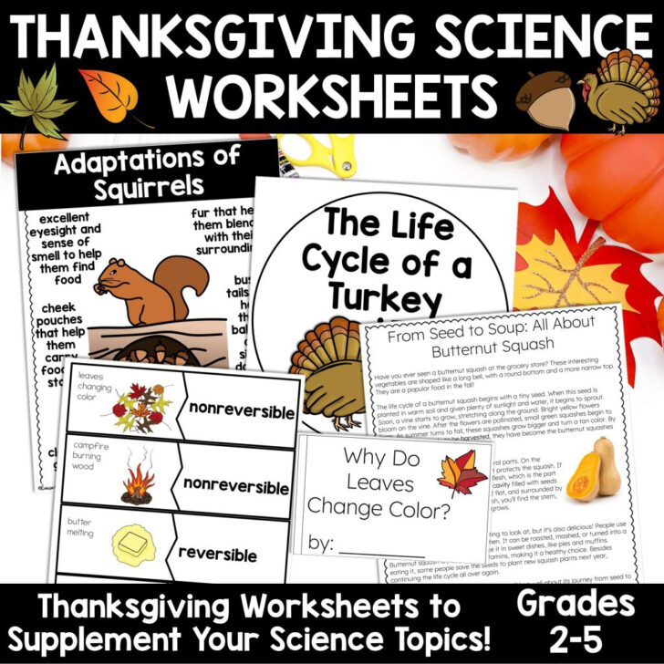 Thanksgiving Science Worksheets Thanksgiving Science Worksheets