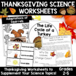 Thanksgiving Science Worksheets No Prep Acitivities   Thrifty In Inside Science Thanksgiving Worksheets