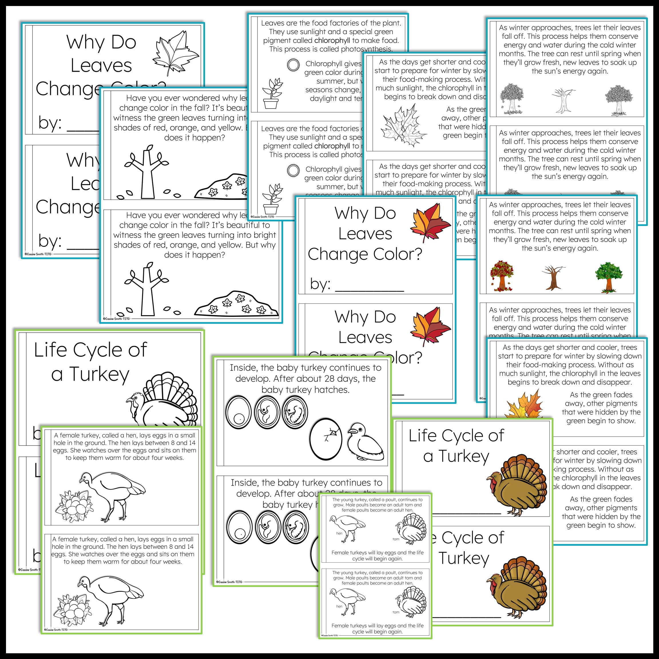 Thanksgiving Science Worksheets No Prep Acitivities - Thrifty In inside Thanksgiving Science Worksheet