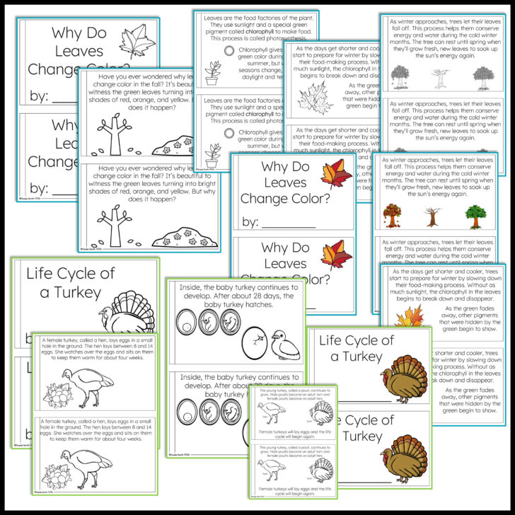 Science Thanksgiving Worksheets